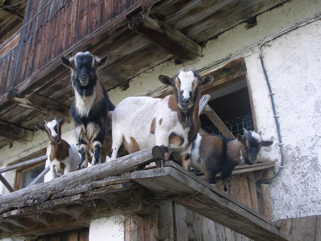 Oberschoellberghof Lutago Zewnętrze zdjęcie