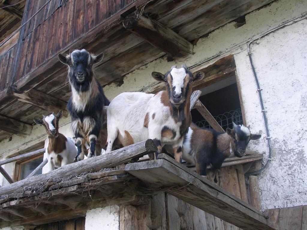 Willa Oberschoellberghof Lutago Zewnętrze zdjęcie